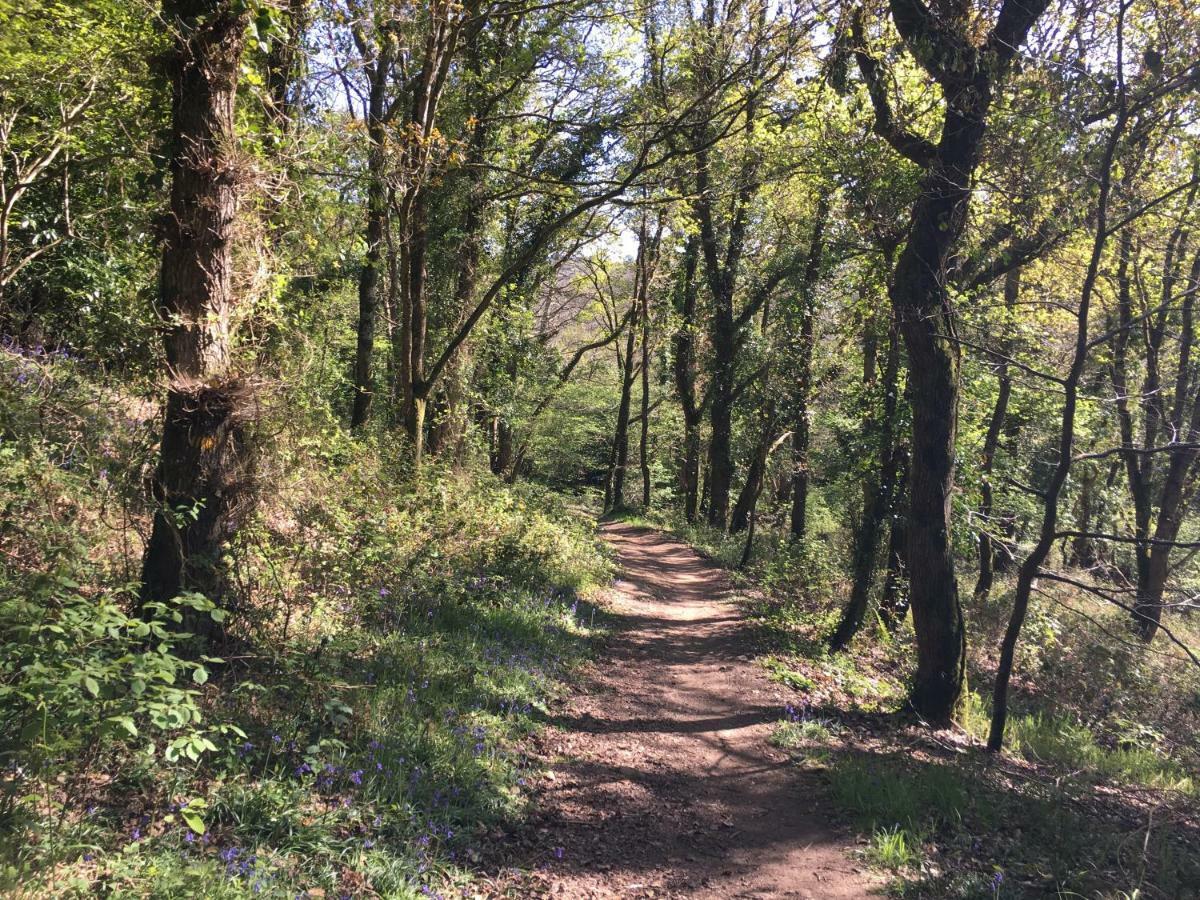 An Ti Bihan, Gite Breton A La Campagne Villa Tonquédec Exterior foto